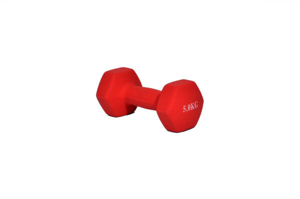 Βαράκι 5kg